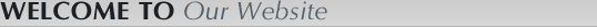 Welcome To The Law Offices Of Anca D Iacob Website